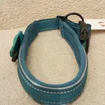 Coleira Verde c/local para localizador - Nova 2