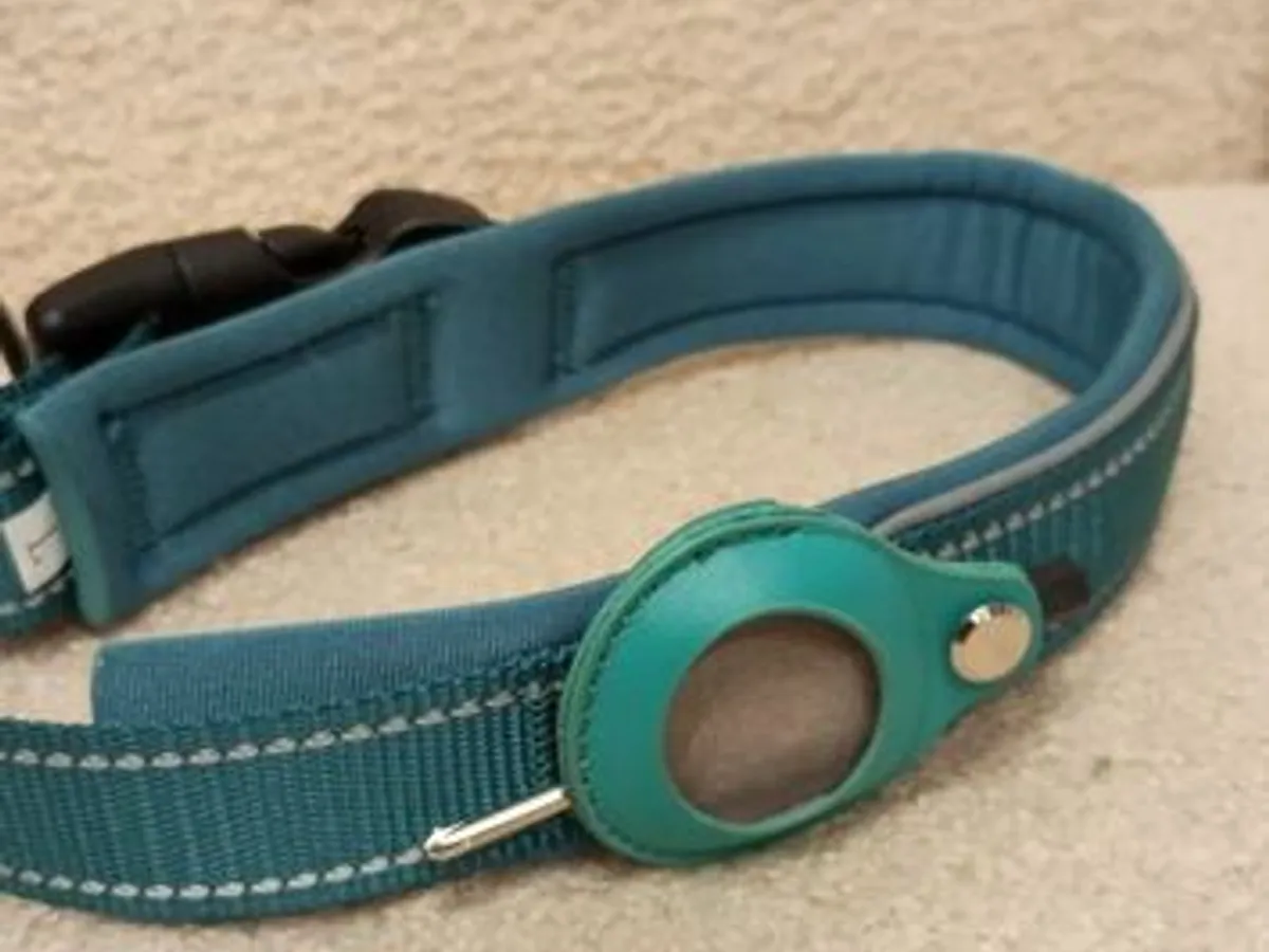 Coleira Verde c/local para localizador - Nova