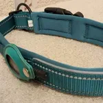 Coleira Verde c/local para localizador - Nova 5