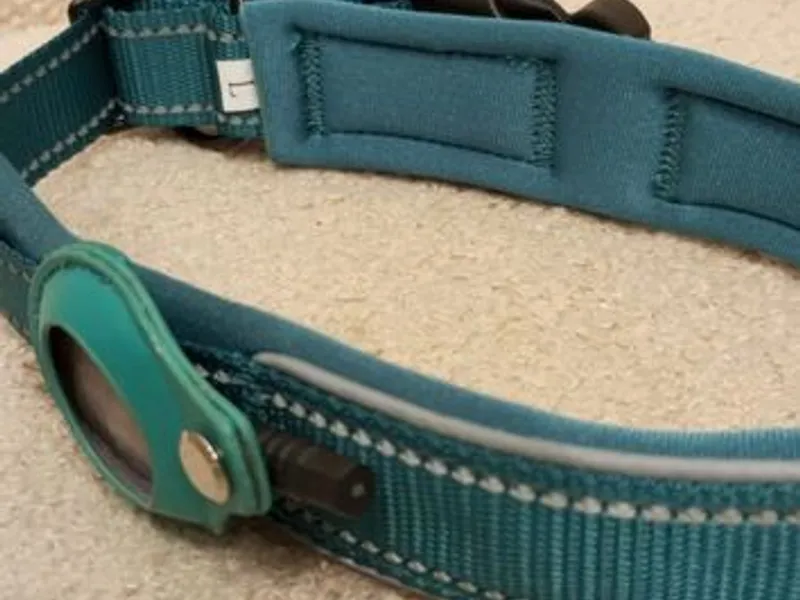 Coleira Verde c/local para localizador - Nova