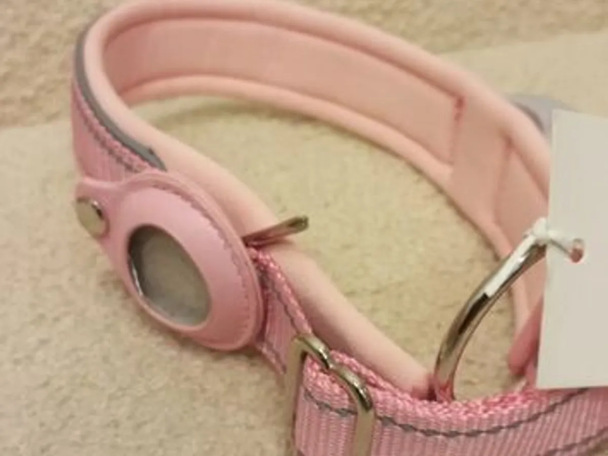 Coleira Rosa c/local para localizador - Nova