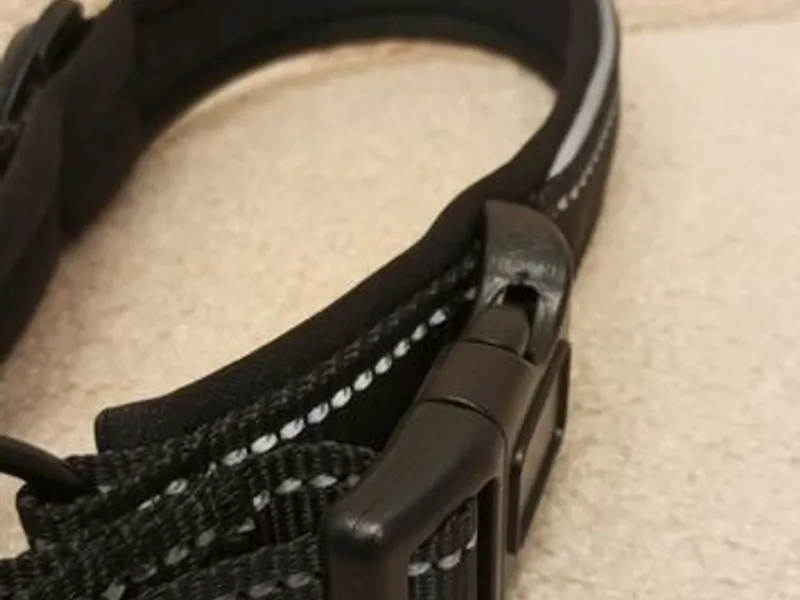 Coleira Preta c/local para localizador - Nova