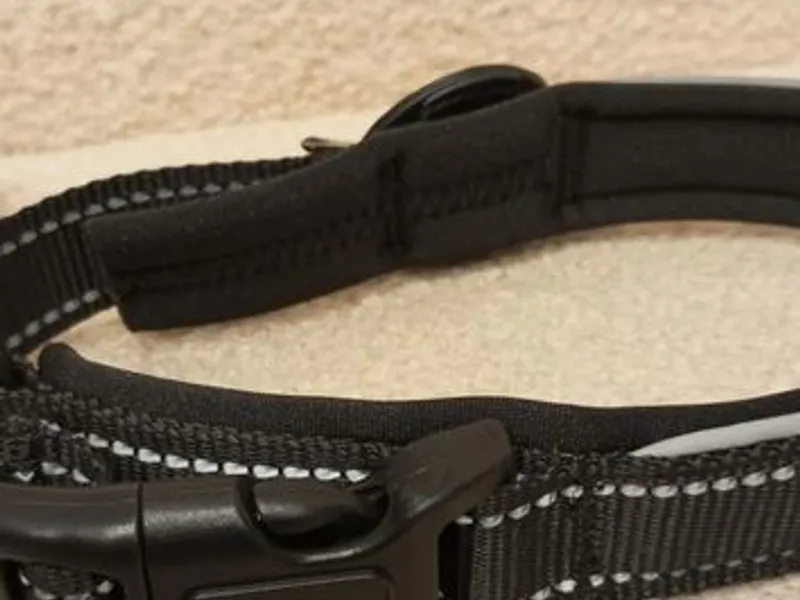 Coleira Preta c/local para localizador - Nova