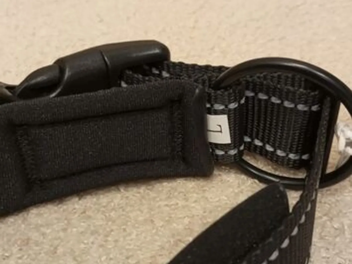 Coleira Preta c/local para localizador - Nova