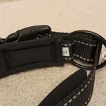 Coleira Preta c/local para localizador - Nova 5