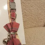 Coleira para gato - Nova 2