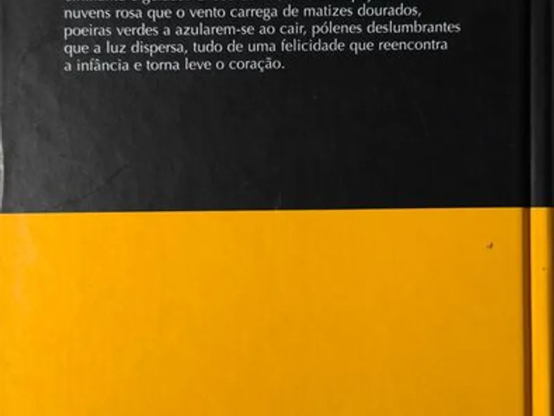 Confidência por Confidência - Paule Constant