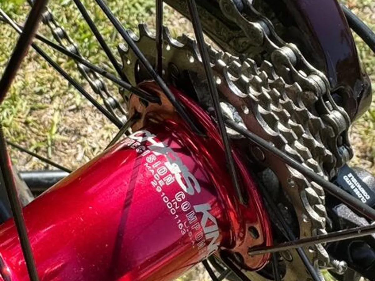 Bicicleta Santa Cruz V10 L MX / Carbono CC DH / Do