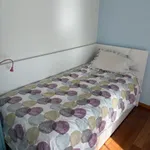 Cama com gavetão + 2 colchões de molas 1