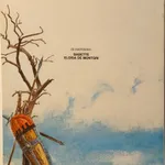 As Torres de Bois-Maury (2 vols) 2