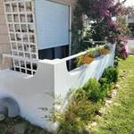 Viva com Espaço e Tranquilidade 3