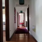 Viva com Espaço e Tranquilidade 9