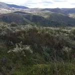 Terreno rústico em sequeiros  1