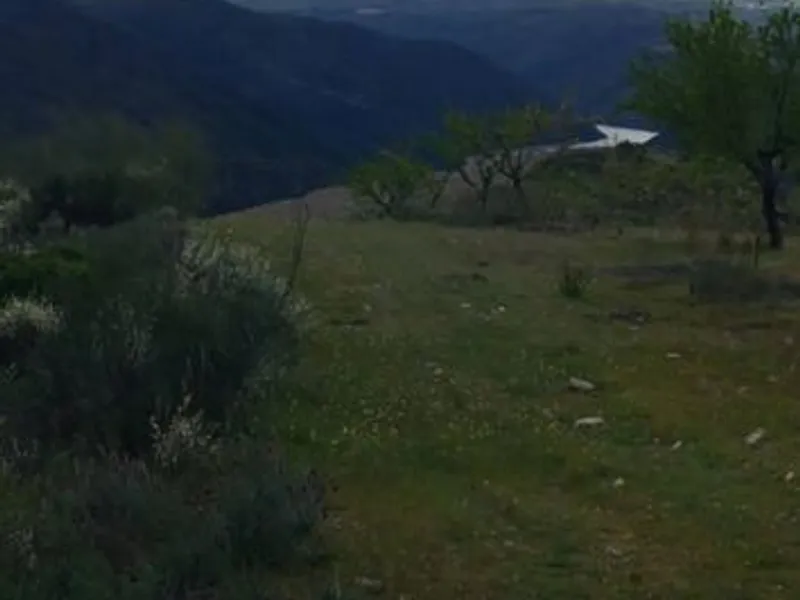 Terreno rústico em sequeiros 