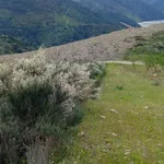 Terreno rústico em sequeiros  4