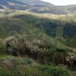 Terreno rústico em sequeiros  6