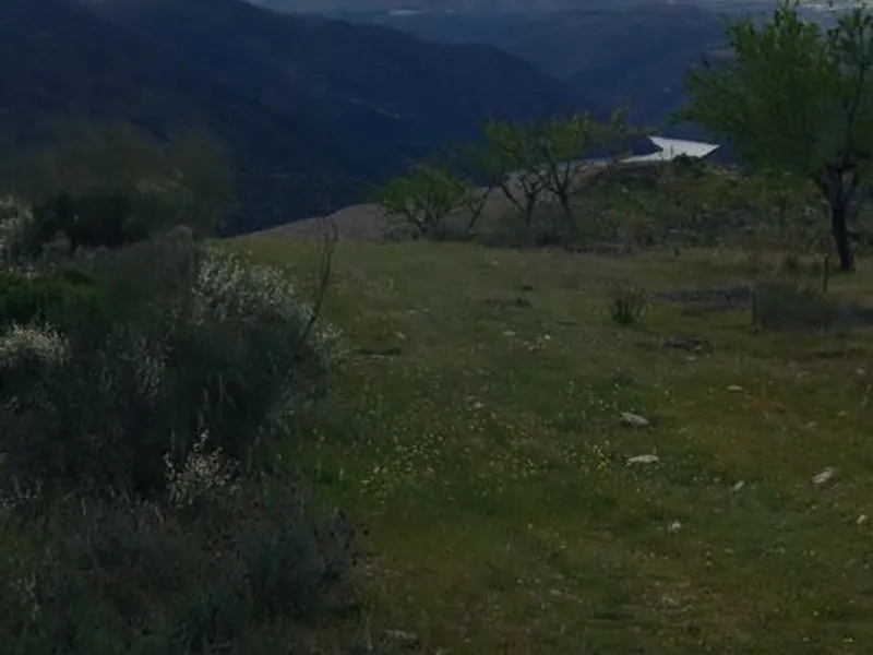 Terreno rústico em sequeiros 