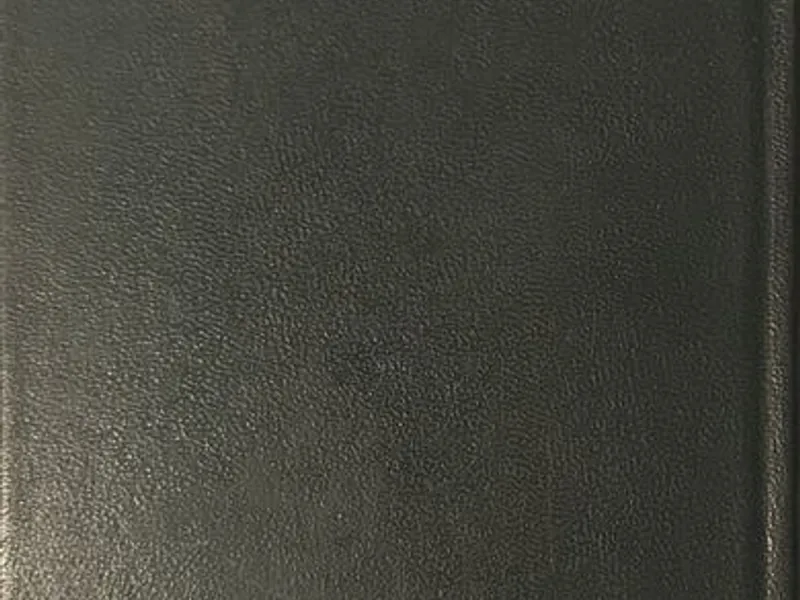 Obras Completas de Eça de Queiróz - XIV e XVIII