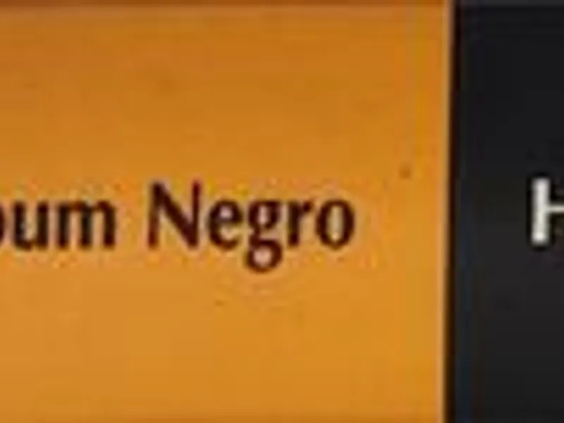 Escritores Estrangeiros da Actualidade - 5 vols