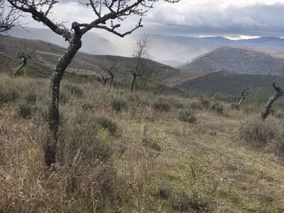 Terreno rústico em sequeiros 