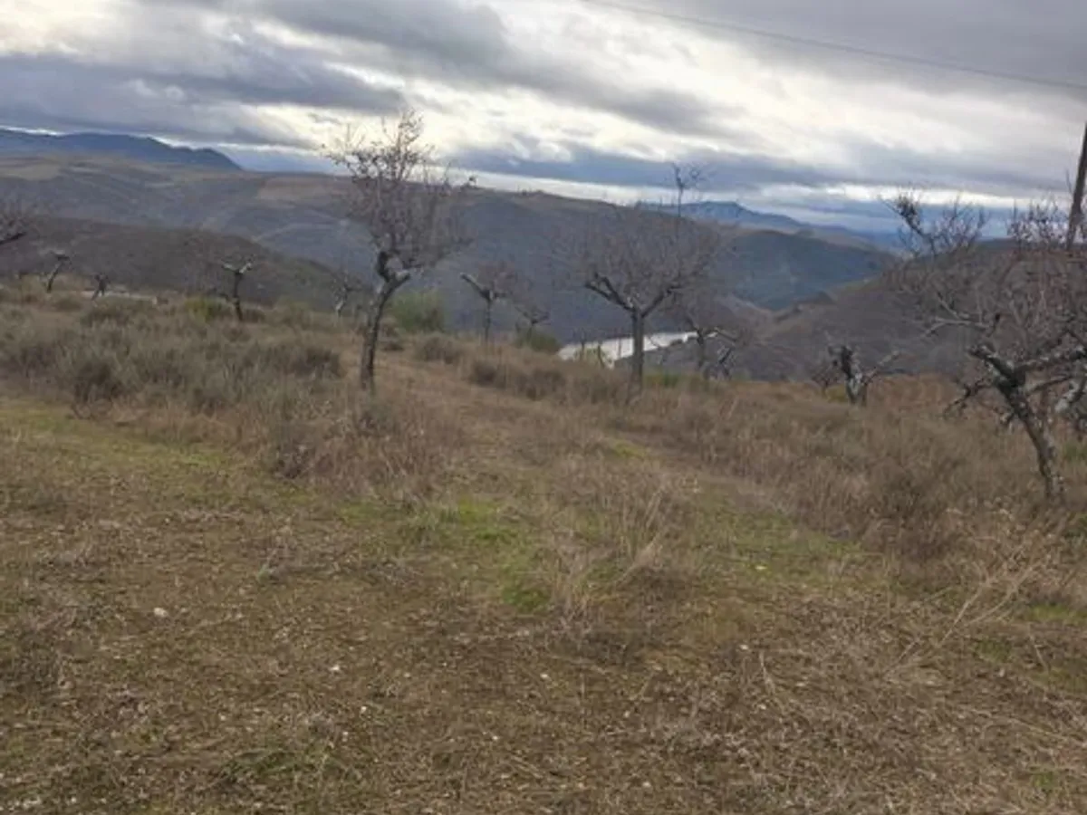 Terreno rústico em sequeiros 