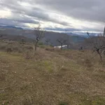 Terreno rústico em sequeiros  2