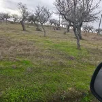 Terreno rústico em sequeiros  3