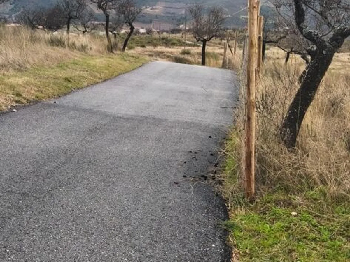 Terreno rústico em sequeiros 
