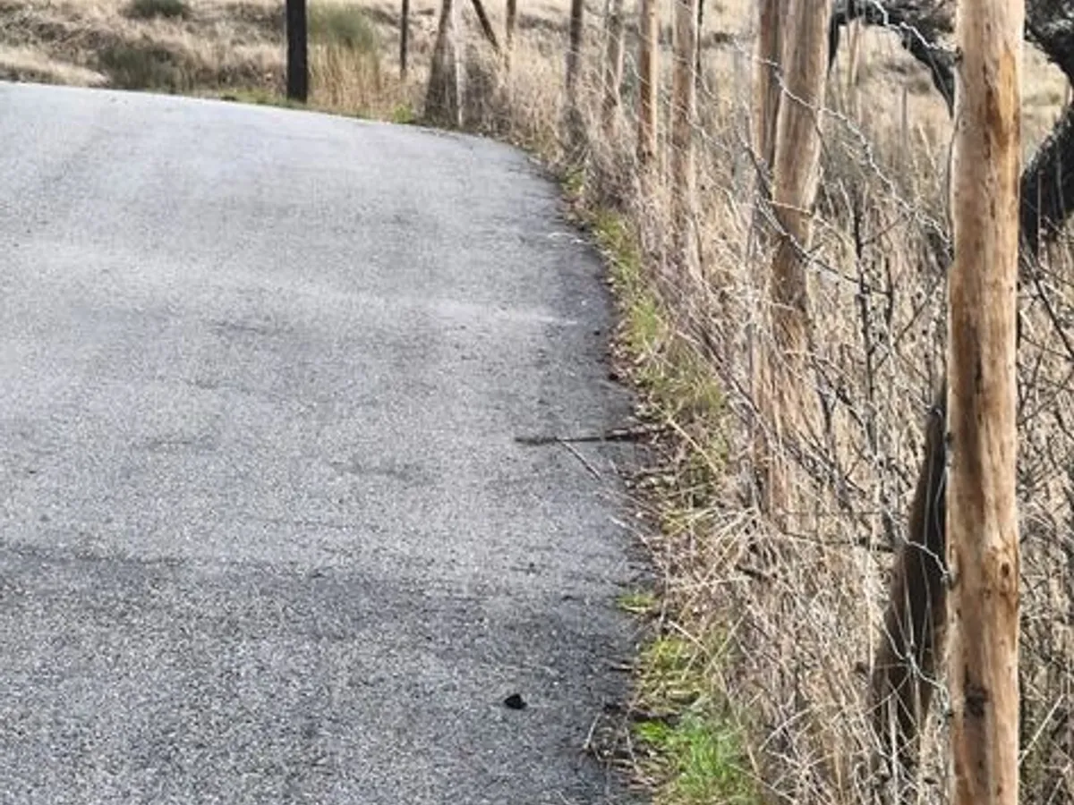 Terreno rústico em sequeiros 