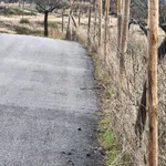 Terreno rústico em sequeiros  6