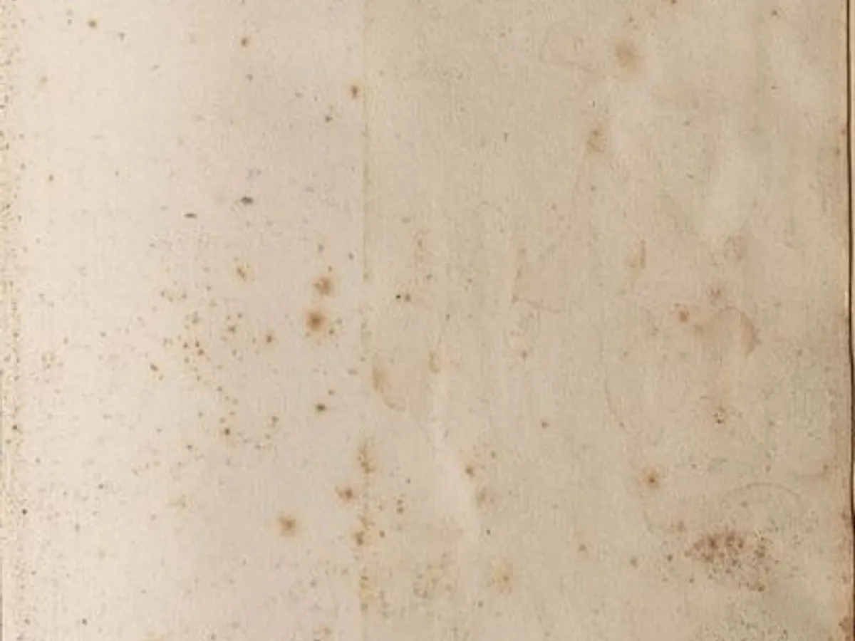 Chacal - Frederick Forsyth