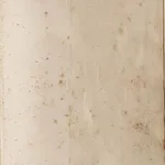 Chacal - Frederick Forsyth 4