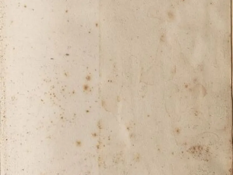 Chacal - Frederick Forsyth