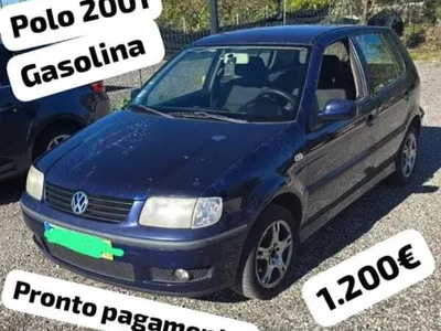 Polo 2001