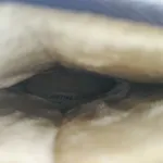 Botas estilo Pantufa acinzentadas n 41 da Justine  3