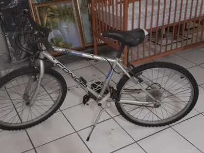 Bicicleta roda 24
