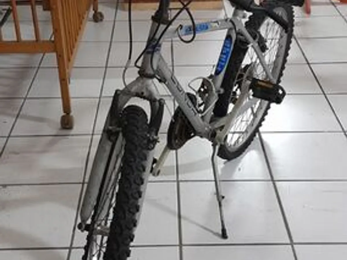Bicicleta roda 24